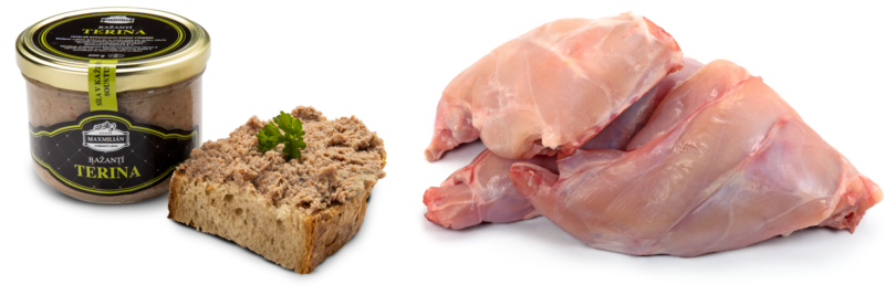 Pernaty_bazant Pernaty_bazant